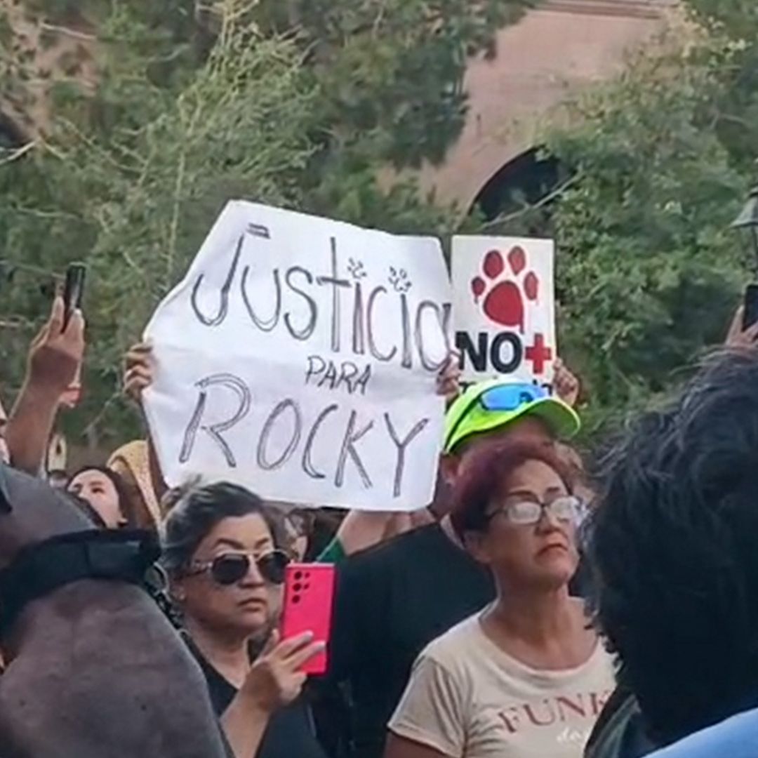 Protestan para Exigir Justicia por Rocky en Saltillo